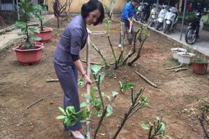 TRUNG TÂM GDTX 1 TỈNH TÍCH CỰC HƯỞNG ỨNG TẾT TRỒNG CÂY ĐỜI ĐỜI NHỚ ƠN BÁC HỒ NĂM 2021