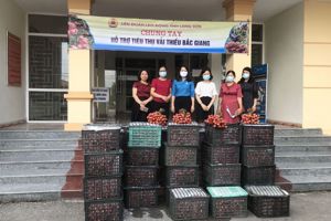 CÔNG ĐOÀN CƠ SỞ TRUNG TÂM GDTX 1 TỈNH HỖ TRỢ TIÊU THỤ VẢI THIỀU CHO NÔNG DÂN BẮC GIANG