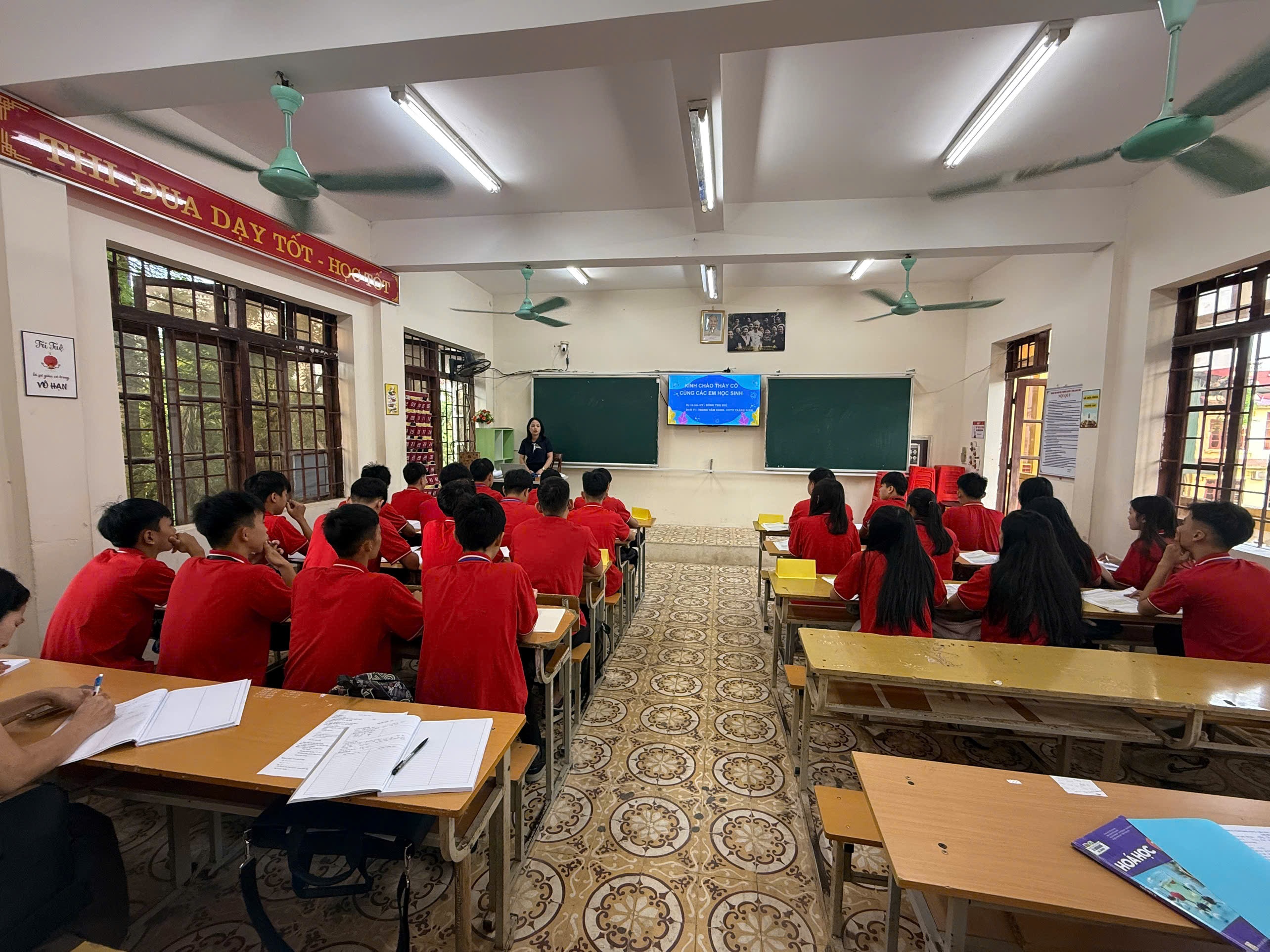 hoa-hoigiang-1.jpg